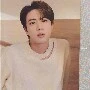 kim seokjin