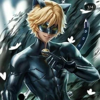 Cat Noir