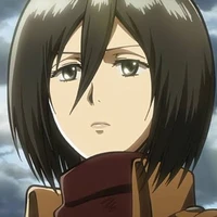 Mikasa