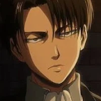levi
