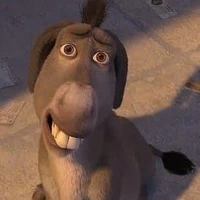 burro