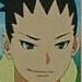 shikadai