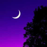 Someone 1