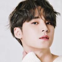 Kim Mingyu(ank ke2)
