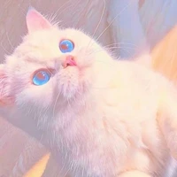 คุณเคอาร์