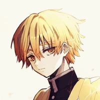•|Zenitsu|•