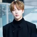 Kim Seokjin