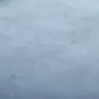 black red purple blue green