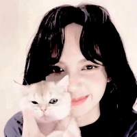author ( sasa )