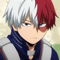 Shoto Todoroki