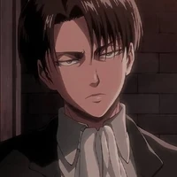 Levi