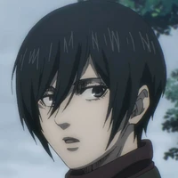 mikasa