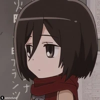 mikasa