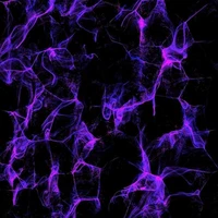 𝖺𝗅𝗅 𝖾𝗑𝖼𝖾𝗉𝗍 𝖺𝖻𝗁𝖺𝗒𝖺