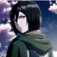 mikasa