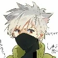 Kakashi -animal-