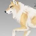 Minato (forma animal)
