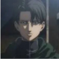 levi
