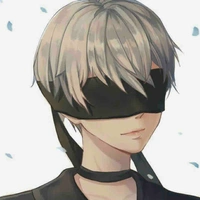 Aiden(ml)