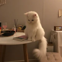 แอด