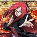 karin(beta)