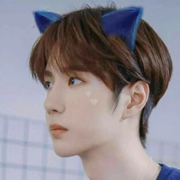 หลานวั่งจี