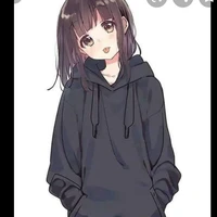 Y/N