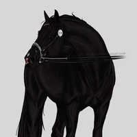 Jen[Aurelia horse]