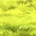 Unknown 3