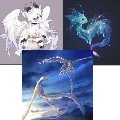 the 4 dragon
