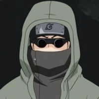Shino Aburame (Omega)
