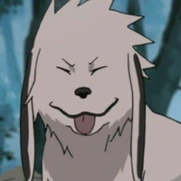 Akamaru