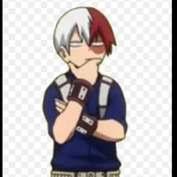 todoroki