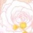 Unknown 3