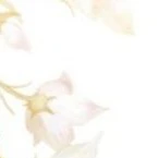 Unknown 1