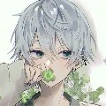 Y/n L/n