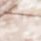 Everyone