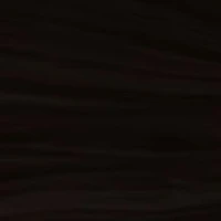 B-rank investigator