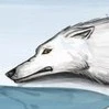 Injured Wolf
