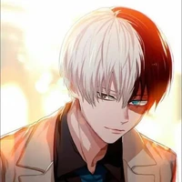 todoroki