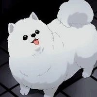 Bob
