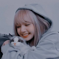 min lalisa [sahabat y/n]
