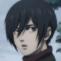 mikasa
