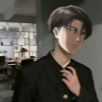 levi