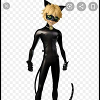 cat noir