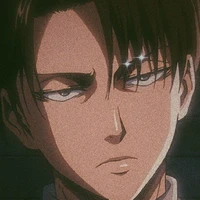 Levi