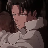 Levi