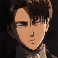 Levi