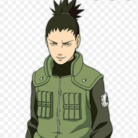NARA SHIKAMARU