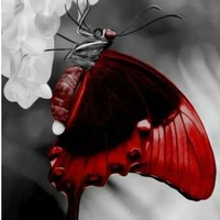 blood(Demon blood darkness god/Mc pet)
